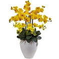 thumbnail image 1 of Phalaenopsis Orchid with White Planter, 1 of 1