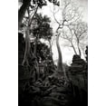 thumbnail image 2 of Berzel, Erin 13x18 Black Ornate Wood Framed with Double Matting Museum Art Print Titled - Ancient Ta Prohm I, 2 of 4