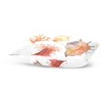 thumbnail image 3 of EREHome Shell Throw Pillow Case Vintage Cushion Cover 20x30 inches, 3 of 4
