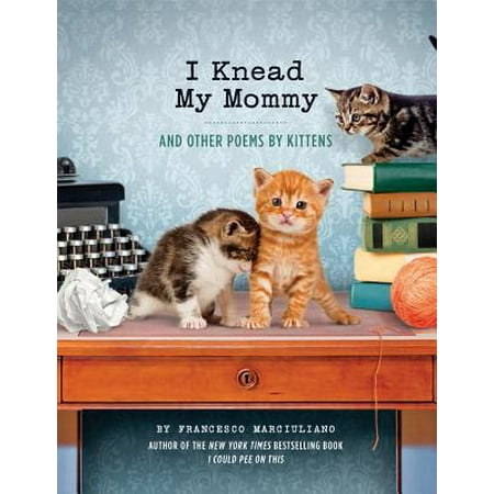 I Knead My Mommy : And Other Poems by Kittens