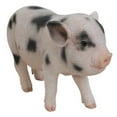 thumbnail image 3 of Hi-Line Gift 10” Standing Baby Pig Garden Statue, Realistic Details, 3 of 11