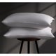 thumbnail image 1 of Pillow DOWNSTORIA, plumón de ganso de lujo, tamaño king, 2 unidades, 1 of 8