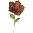 thumbnail image 1 of Tige de Fleur d'Hibiscus Chocolat, 23 & 8 Po., 1 of 1