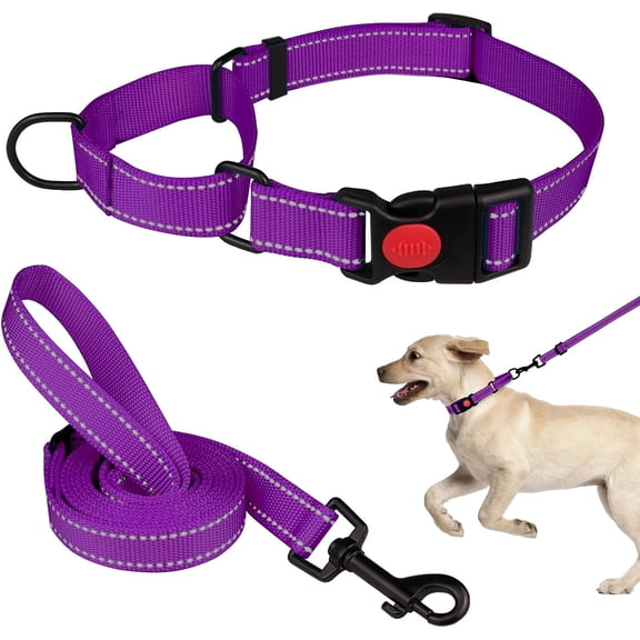 Solennerer Dog Collar Dog Leash Sets Heavy Duty Pet Leash Lead Rope for Small Medium Large Dogs Walking Running Training