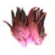 thumbnail image 2 of 50pcs Plumas de Gallo Sunnimix 12-18cm 7 Colores Rosado, 2 of 8