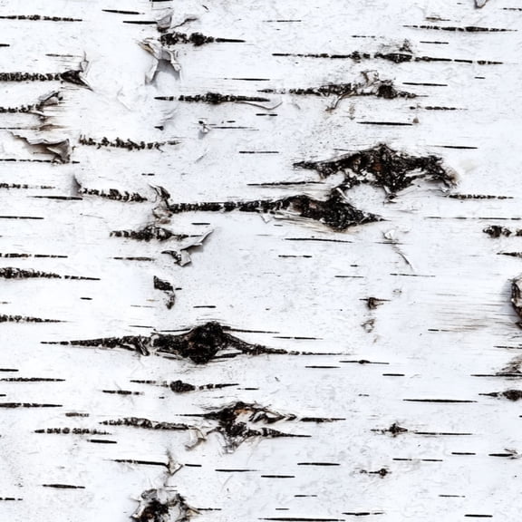Rustic Peel and Stick Wallpaper 17.7in x 9.8ft Close Up Birch Tree Bark Black Stripes Textured Contact Paper Vinyl Waterproof Self Adhesive Wall Paper for Bedroom Shelf Cabinet Renter Friendly