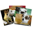 thumbnail image 1 of French Educational Fun Posters, 1 of 1