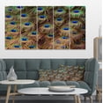 thumbnail image 1 of Plumes de Queue de Paon en Gros Plan - Impression sur Toile Animale, 1 of 3