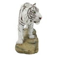 thumbnail image 2 of Prowling Fierce Leucistic Winter White Bengal Tiger Figurine 11.25" L, 2 of 10