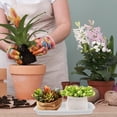 thumbnail image 4 of WRITWAA 4Ud De Cultivo Rectangular Para Plantas Para Interior, 4 of 8