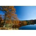 thumbnail image 2 of Colorful Tree near Lake Wall Mural Decal by Wallmonkeys Vinyl Peel and Stick Graphic (24 in W x 16 in H), 2 of 4