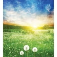 thumbnail image 3 of Spring Duvet Cover Set, Dandelion Flower Field Meadow Rural Grass Vivid Sunset Clouds Idyllic Image, Decorative 3 Piece Bedding Set with 2 Pillow Shams, Calking Size, Lime Green Blue, by Ambesonne, 3 of 3