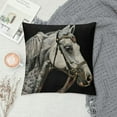 thumbnail image 2 of Creowell  Animals Horse Decorative Throw Pillow Covers Sketch Vintage Style Farm Animals Black Background Pillowcase Home Decor Cushion Cover for Sofa Chair Bed Couch，Multi-Size, 2 of 5