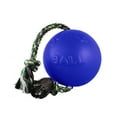 thumbnail image 1 of Jolly Pets Romp-N-Roll Dog Ball, 1 of 1