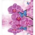 thumbnail image 3 of Butterflies Duvet Cover Set, Orchid Reflection on Water Bloom Botany Plant Branch Anima Print, Decorative 3 Piece Bedding Set with 2 Pillow Shams, King Size, Pink Blue White, by Ambesonne, 3 of 3