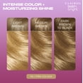 thumbnail image 5 of Clairol Bold & Bright Permanent Hair Color Creme, 110 Pina Colada, Hair Dye, 1 Application, 5 of 13