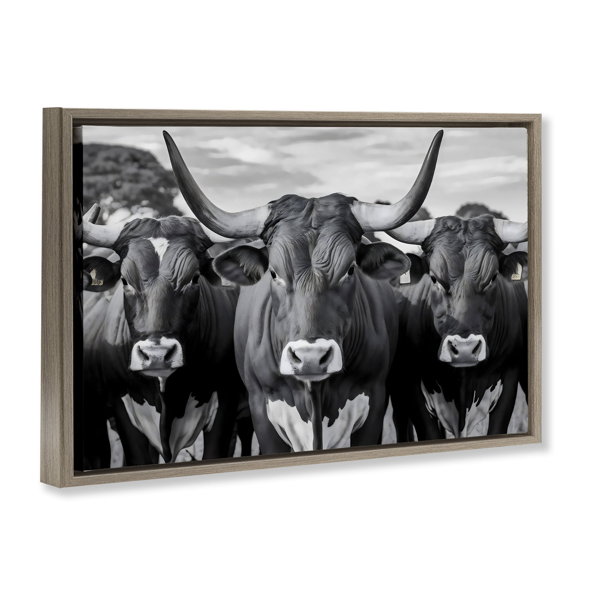 Stupell Industries Three Longhorns in a Row Brown Framed Floater Canvas Wall Art, design by Creative Studio
