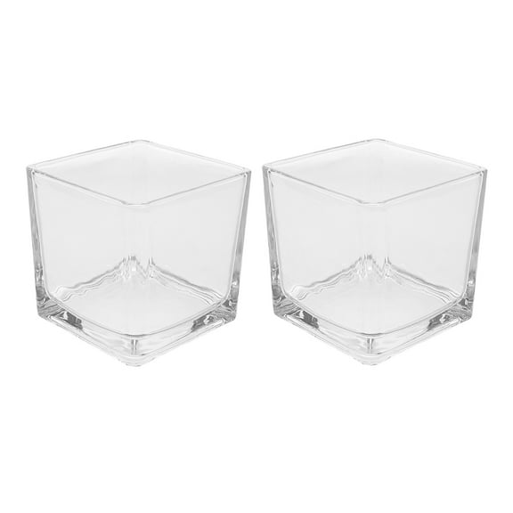 KONTONTY 2pcs Shape Transparent Glass Vases Hydroponic Flower Vases Table Decoration Wedding Centerpiece Clear Cube Vases for Hydroponic Plants