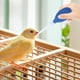 thumbnail image 3 of Dispositivo de rehidratación para chupete de aves destetadas, gotero para lactancia de aves, alimentación de palomas, 3 of 5