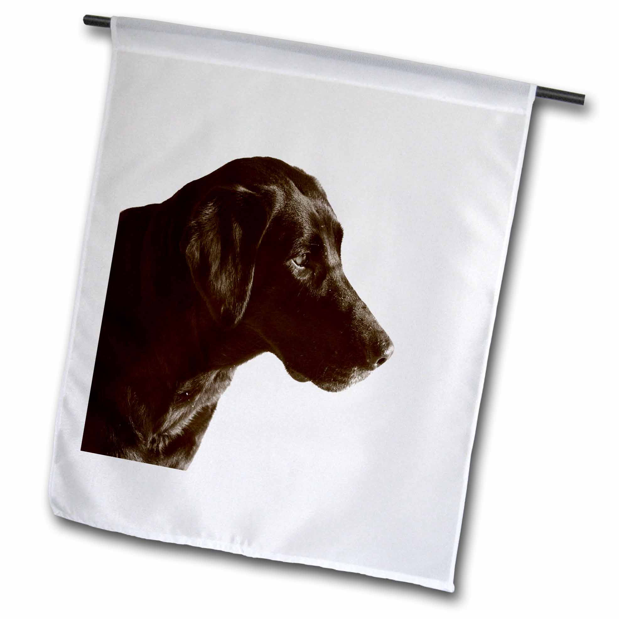 3dRose Print of Chocolate Lab Portrait Garden Flag, 12 by 18inch