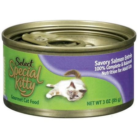 Special Kitty: Gourmet Savory Salmon Entree Cat Food, 3 Oz