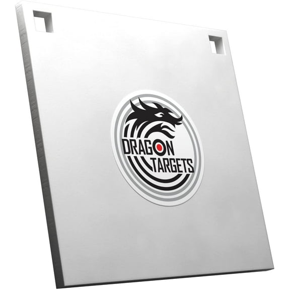 Dragon Targets AR500 Steel Targets for Shooting 3/8 inch Thick Laser Cut, Painted AR500 8" X 8" Square