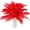 Red, variant on Pink Ostrich Feathers 24pcs Natural Bulk 8-10Inch 20cm-25cm for Crafts Wedding Party Centerpieces Halloween and Home Decoration Feathers