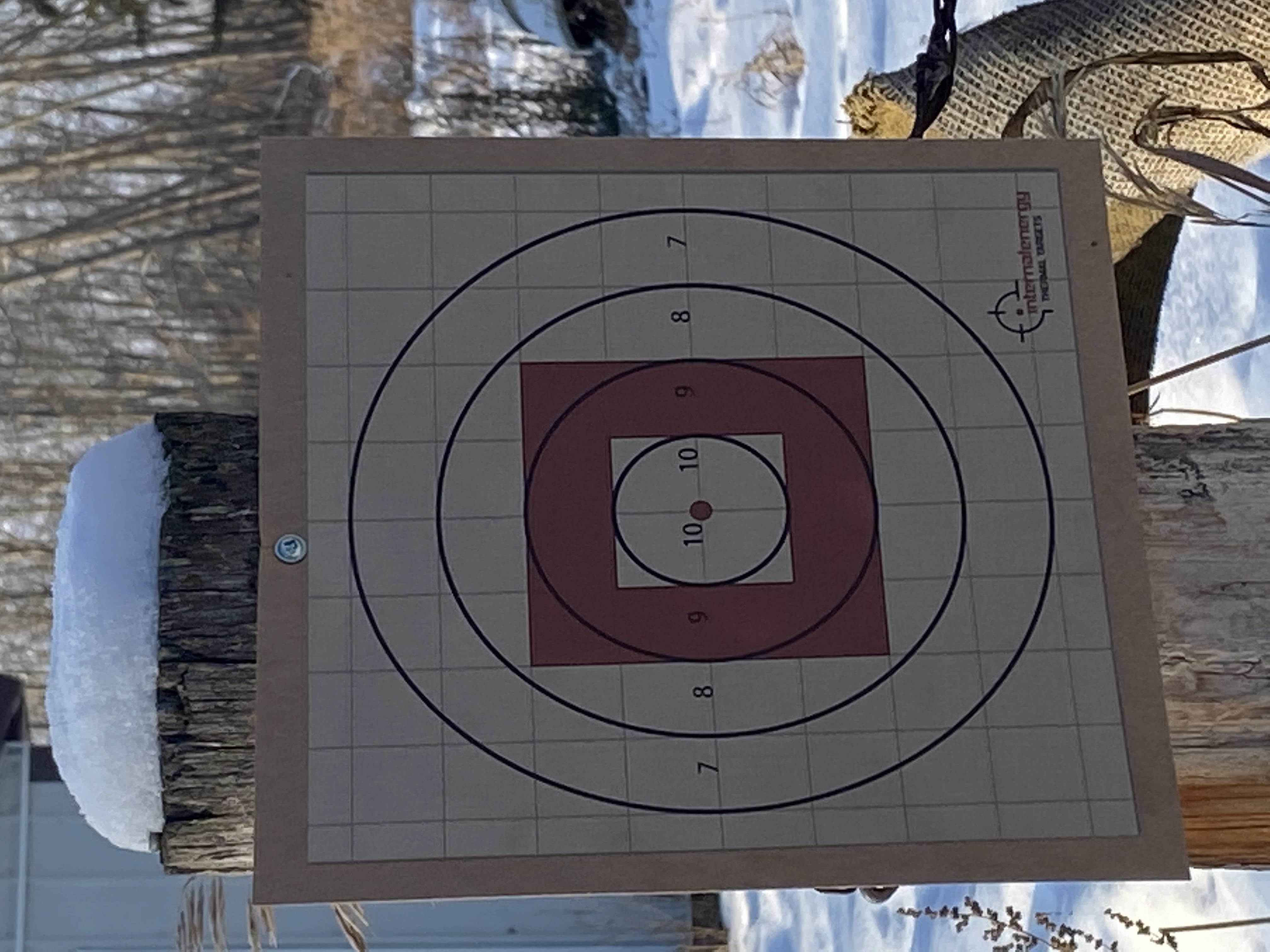 Internal Energy Zeroing Thermal Targets with Bullseye Cardboard Paper Targets, 5-Pack