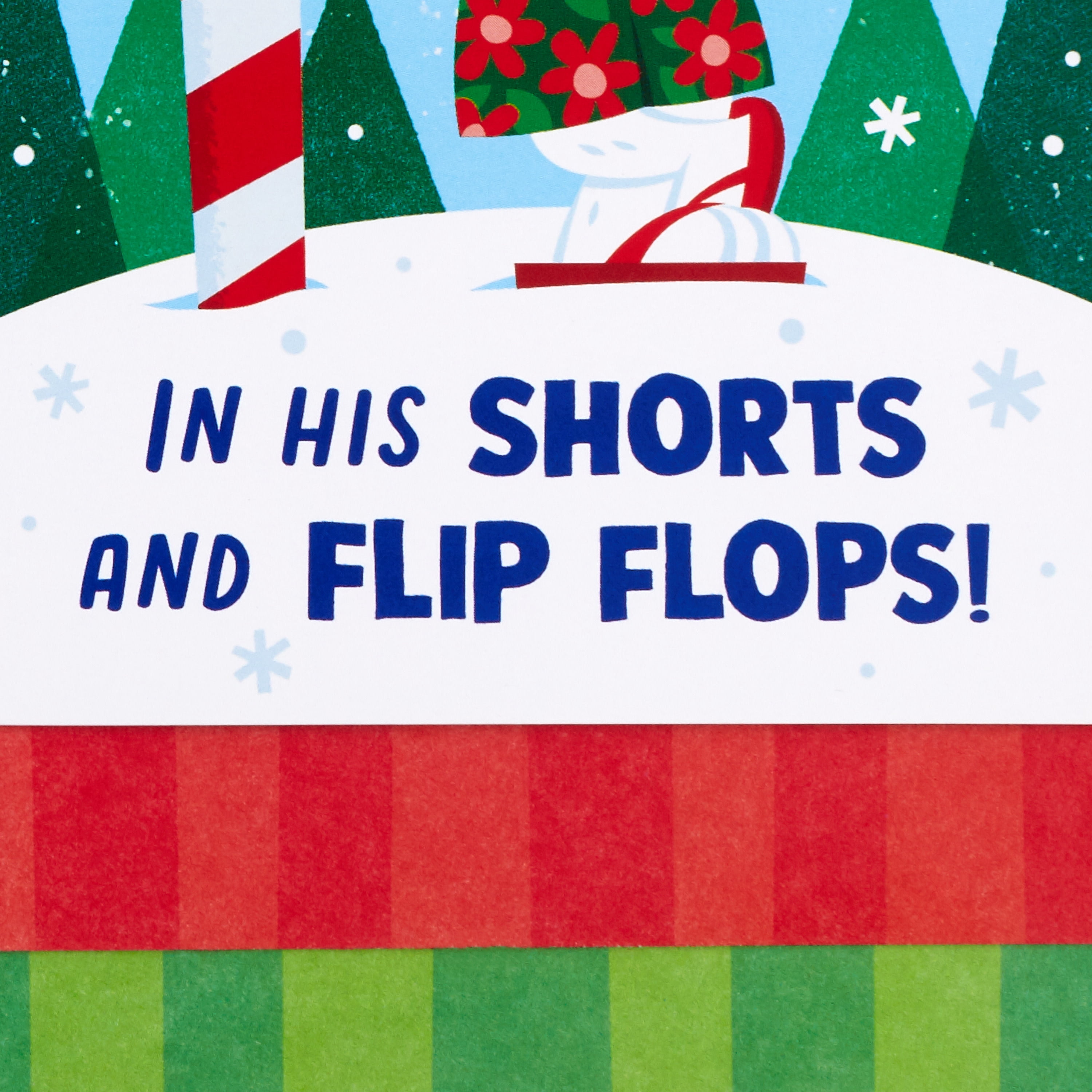 Hallmark Christmas Greeting Card for Grandson (You're Cooler than a Polar Bear)