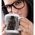thumbnail image 2 of 3drose, Galapagos Islands Np, Isabella, Galapagos Hawk - Sa07 Pso0091 - Paul Souders, 11oz Mug, 2 of 6