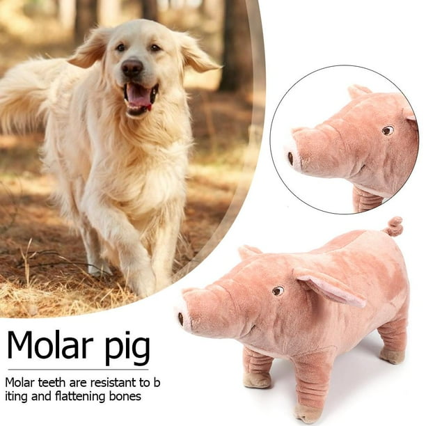 COG PUPPY DECOMPRESIÓN DE DECOMPRESIÓN Muñecas de perro Muñecas de juguete Niños Regalos Suministro de relieve de estrés Hugtrwg Para estrenar