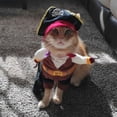thumbnail image 3 of El perro se transforma en disfraz de pirata Nuevos disfraces para mascotas de Halloween, 3 of 5