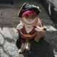 thumbnail image 3 of El perro se transforma en disfraz de pirata Nuevos disfraces para mascotas de Halloween, 3 of 5
