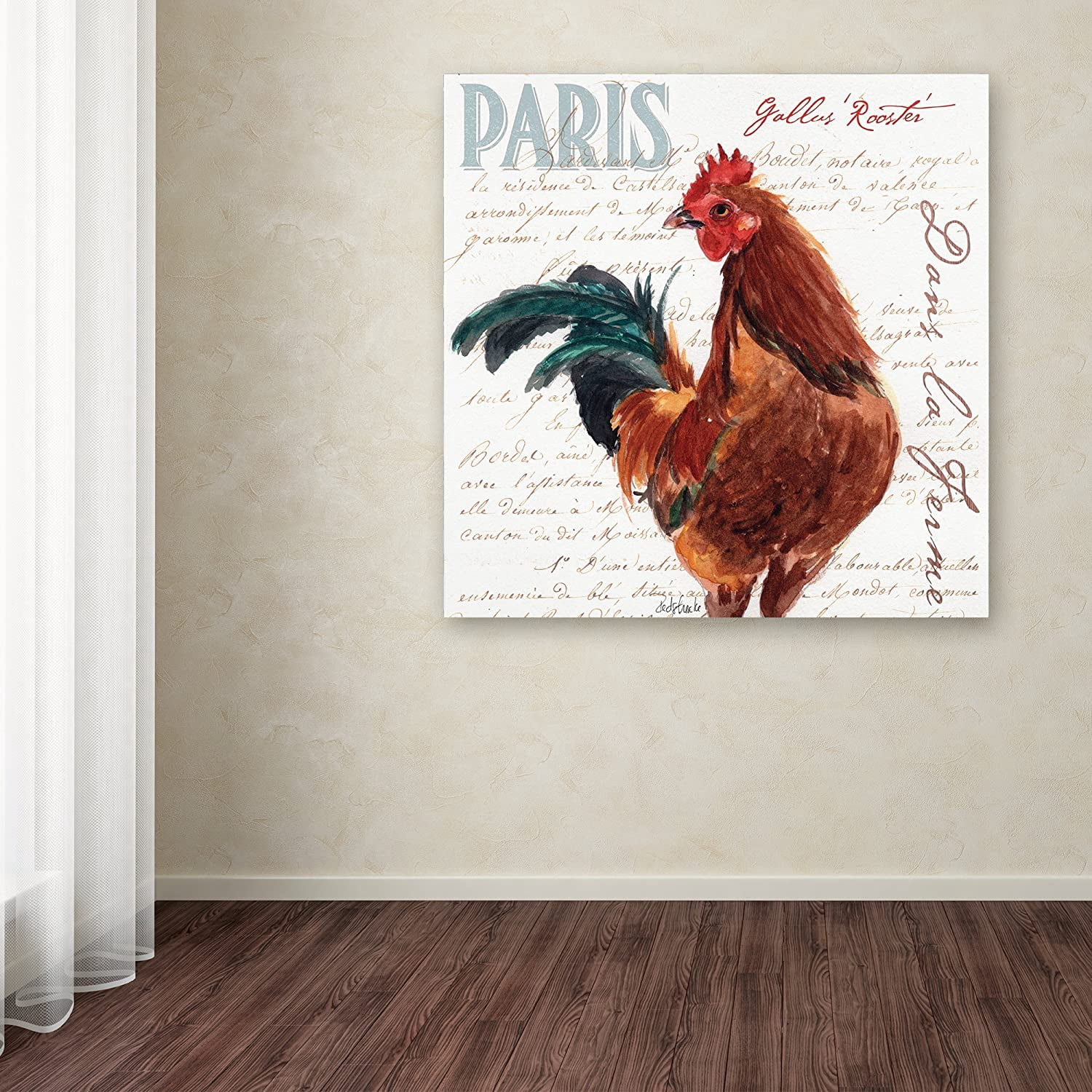 Trademark Fine Art "Dans la Ferme Rooster II" Canvas Art by Jennifer Redstreake