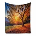 thumbnail image 1 of Fall Tree Soft Flannel Fleece Throw Blanket, Big Majestic Autumn Tree Shedding Faded Leaves on the Hill Slop Seasonal Landscape, Cozy Plush for Indoor and Outdoor Use, 70" x 90", Brown, by Ambesonne, 1 of 6
