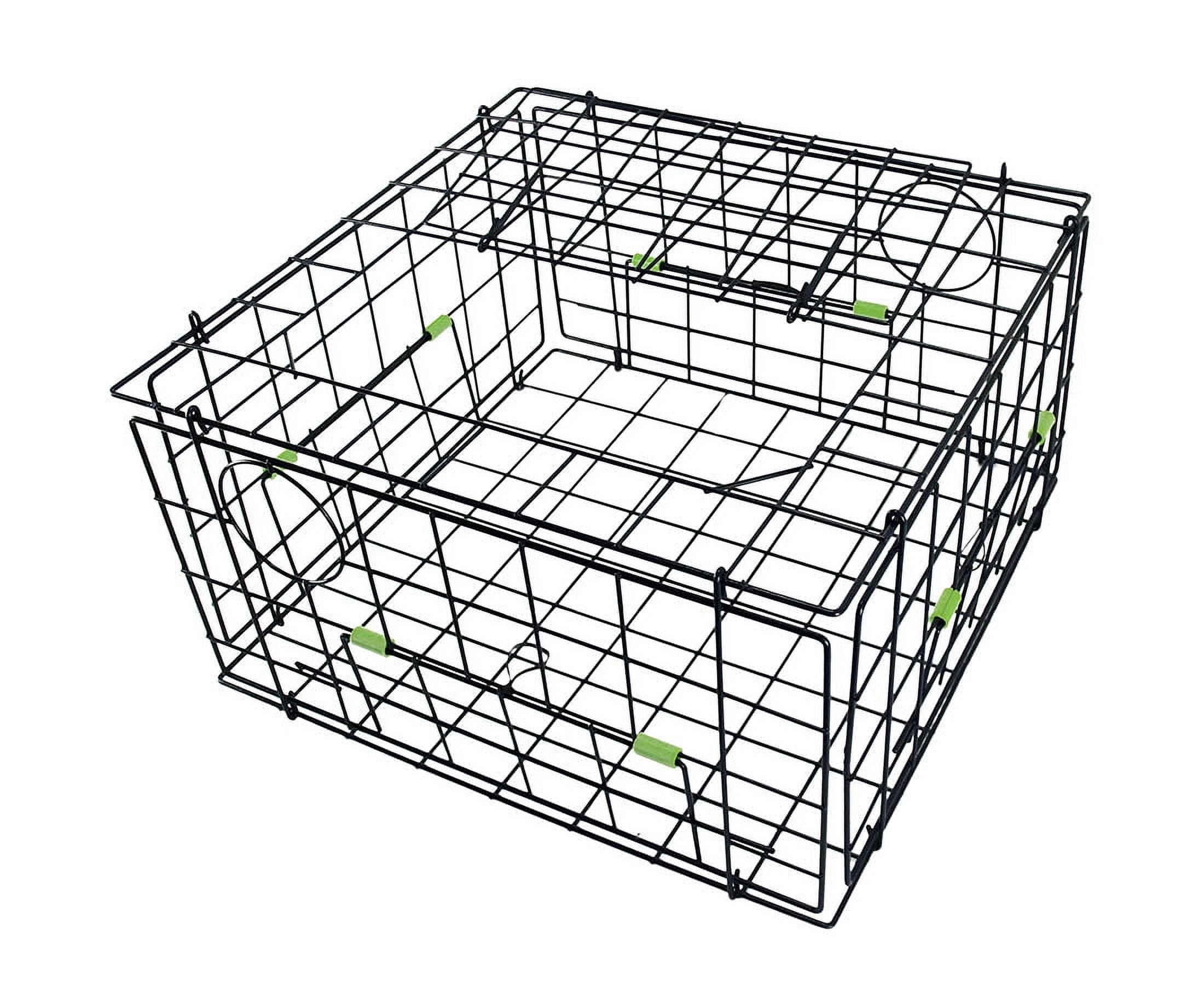 Danielson 24" Deluxe Collapsible Crab Trap
