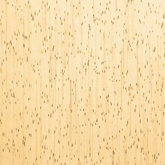 Ahgly Company Indoor Square Solid Brown Modern Area Rugs, 7' Square