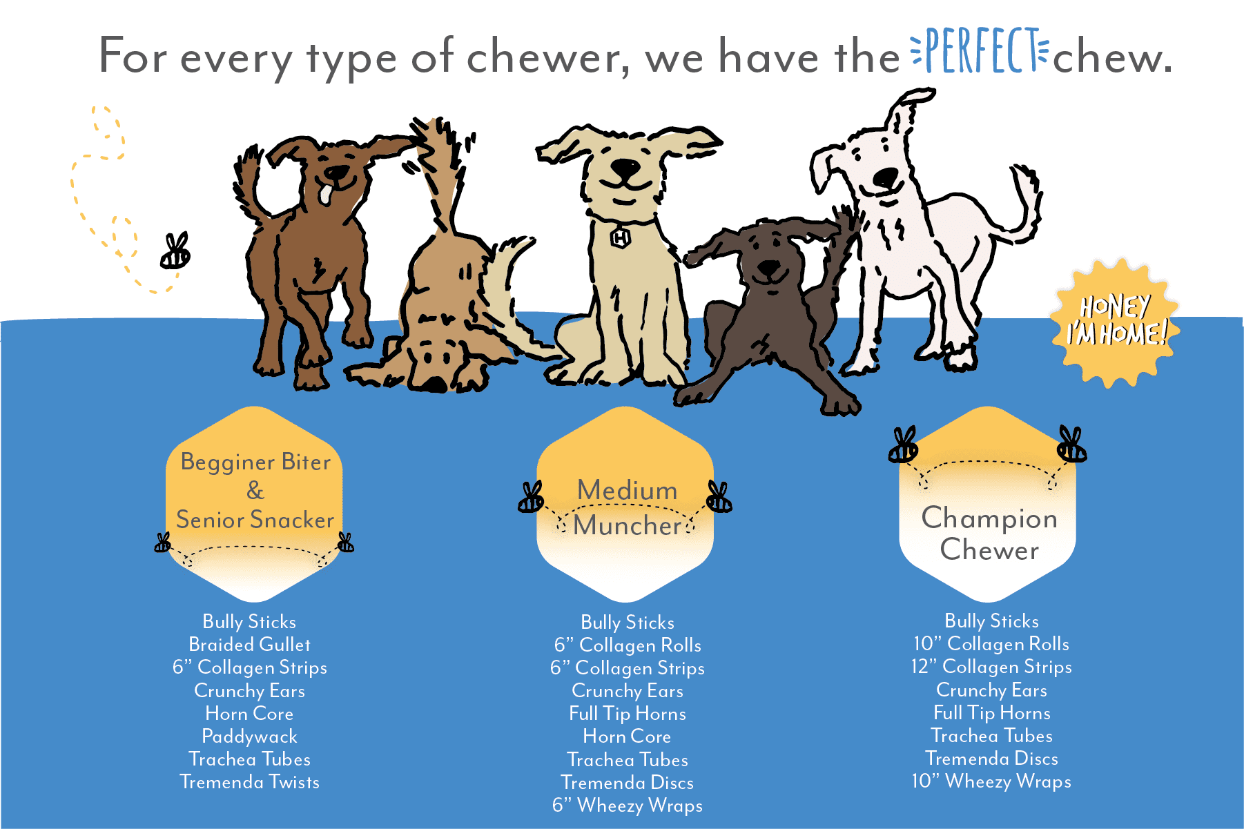 10" COLLAGEN ROLLS - NATURAL DOG CHEWS