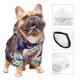 thumbnail image 3 of Balery Vibrant Leopard In Flowers Sudadera con Capucha para Perros Pequeños – Ropa para Mascotas, Disfraz para Perros y Gatos, Ideal para Fiestas y Cosplay-XX-Large, 3 of 7
