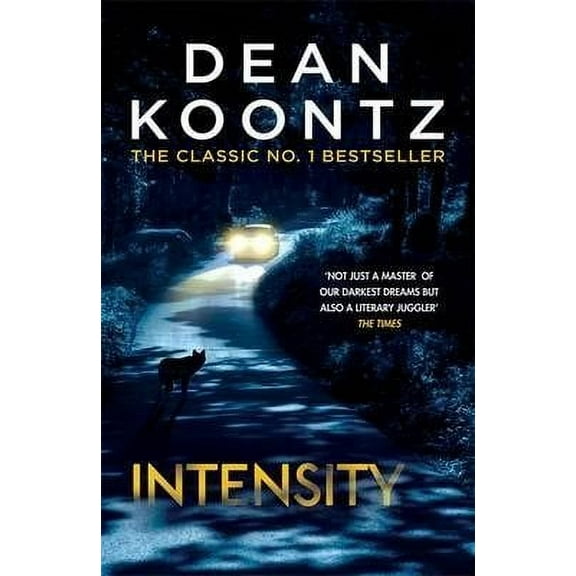 Intensity : A Powerful Thriller of Violence and Terror