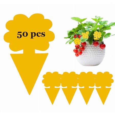 50 Pack Fruit Fly Traps  Sticky Fungus Gnat Traps  Non-Toxic and Odorless Insect Catcher for White Flies  Mosquitos  Fungus Gnats Flying Insects(Flower B)