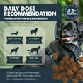 thumbnail image 6 of Mighty Paw Dog Calming Chews with Melatonin – Anxiety & Stress Relief Treats for Puppies & Large Dogs, 120 Ct, 6 of 11