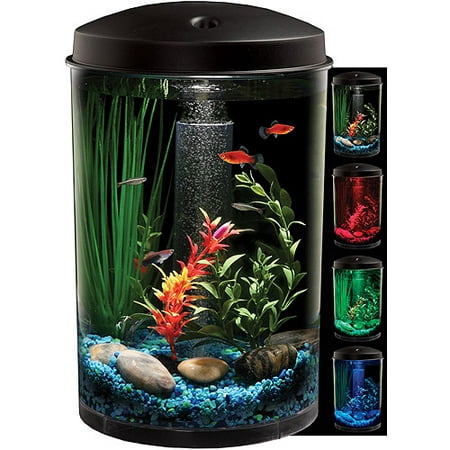 Hawkeye 3 Gallon 360 View Aquarium Kit with LED Lighting ...
