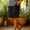 🔥 Black_New, variant on Cropped Shorts Casual Women's Solid Color Cotton Linen Drawstring Ankle Binding Cropped Shorts Elastic Waist Pocketed Breathable Summer Casual Everyday Wear Beachwear Loungewear