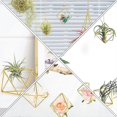 thumbnail image 3 of 5 Pcs Metal Brackets Air Plant Holder Air Planter Tillandsia Plant Holder Desktop Geometric Decor, 3 of 3