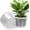 10 Inch-5pcs, variant on Large Clear Nursery Pots with Drainage Hole, Plastic Plant Pots for Seedling Flower Vegetable, Indoor Outdoor Gardening, Used as Liner Inside Decorative Pot