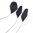 thumbnail image 1 of Wosthever Plumas artesanales de 10-15CM, ligeras, duraderas, portátiles, pequeñas y elegantes piezas de plumas, parte y Decoración, 1 of 6