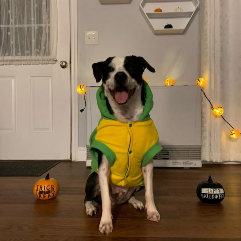 FLAdorepet Roupas engraçadas para fantasia de dinossauro para cães grandes, pijamas de cachorro com capuz para inverno quente para animais de estimação Golden Retriever Pitbull (6GG, verde