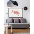thumbnail image 4 of "Red Bream 2" Framed Painting Print, 4 of 5