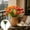 Orange, variant on Seyotauo Artificial Tulip Silk Flowers Realistic Faux Bouquet Home Decor, No Fade Plastic Plants for Windowsill Bedroom Living Room Garden Office Centerpiece
